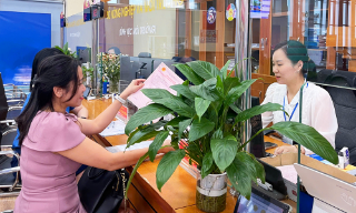 Bắc Ninh tiếp tục giữ vững vị trí số 1 toàn quốc về chỉ số chỉ đạo, điều hành và chất lượng phục vụ người dân, doanh nghiệp